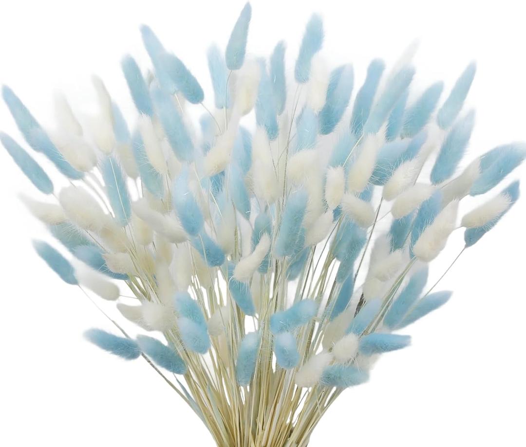 CISDUEO 120pcs Dried Bunny Tails Flowers Lagurus Ovatus Tail Dried Flowers Pampas Grass White and Blue 17" Natural Dried Floral Arrangement for Boho Decor Home Wedding DIY Farmhouse Table Christmas