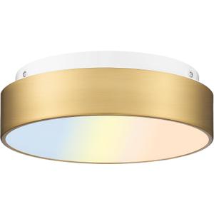 AUTELO LED Close to Ceiling Light Fixture 12" LED 18W Flush Mount Ceiling Light Fixtures with Frosted Glass Shade in Brass Finish for Kitchen LivingRoom Hallway Bedroom C3312 BRZ LED (Brushed Gold)
