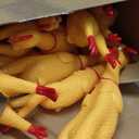 Honoson 32 Pcs 12'' Rubber Chicken Dog Toy Squeeze Screaming Chicken Toy Novelty Squeaky Squawking Loud Noise Makers for Adults Dogs Pets Reduce Separation Stress Anxiety(Yellow)