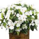 FAICOIA 8 Pcs Artificial Impatiens Flowers for Outdoors Faux Impatiens Bushes White Silk Flowers Greenery Artificial Impatiens Bouquet for Patio Lawn Garden Pot Hanging Basket Porch Decoration