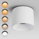 Modern LED Ceiling Spotlight 5CCT 4.72 inches 18W Dimmable Ceiling Light,2700K-5000K,for Living Room Spotlight Indoor(White)