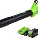 Greenworks Jet Blower Performance Turbo Button 40V Battery Quick Charger 2411902