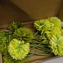 Kimura's Cabin 20Pcs Green Chrysanthemums Artificial Flowers Fake Silk Ball Flowers Mums Bouquets Arrangements Wedding Party Decor St Patricks Day Home Garden Table Centerpieces DIY Floral (Green)