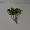 Tigeen 6 Heads Ranunculus Artificial Flowers Fake Silk Mini Ranunculus Flowers Bulk for Wedding Centerpieces Arrangements Bridal Shower Decor(White)