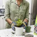 Miracle-Gro Perlite - Enriched with Plant Food, Improves Drainage and Aeration in Potting Soil Mixes, For Container Plants, 8 qt. (2-Pack)