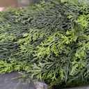Artificial Cedar Topiary Trees 3FT 2 Set Outdoor Indoor Faux Cypress Plants
