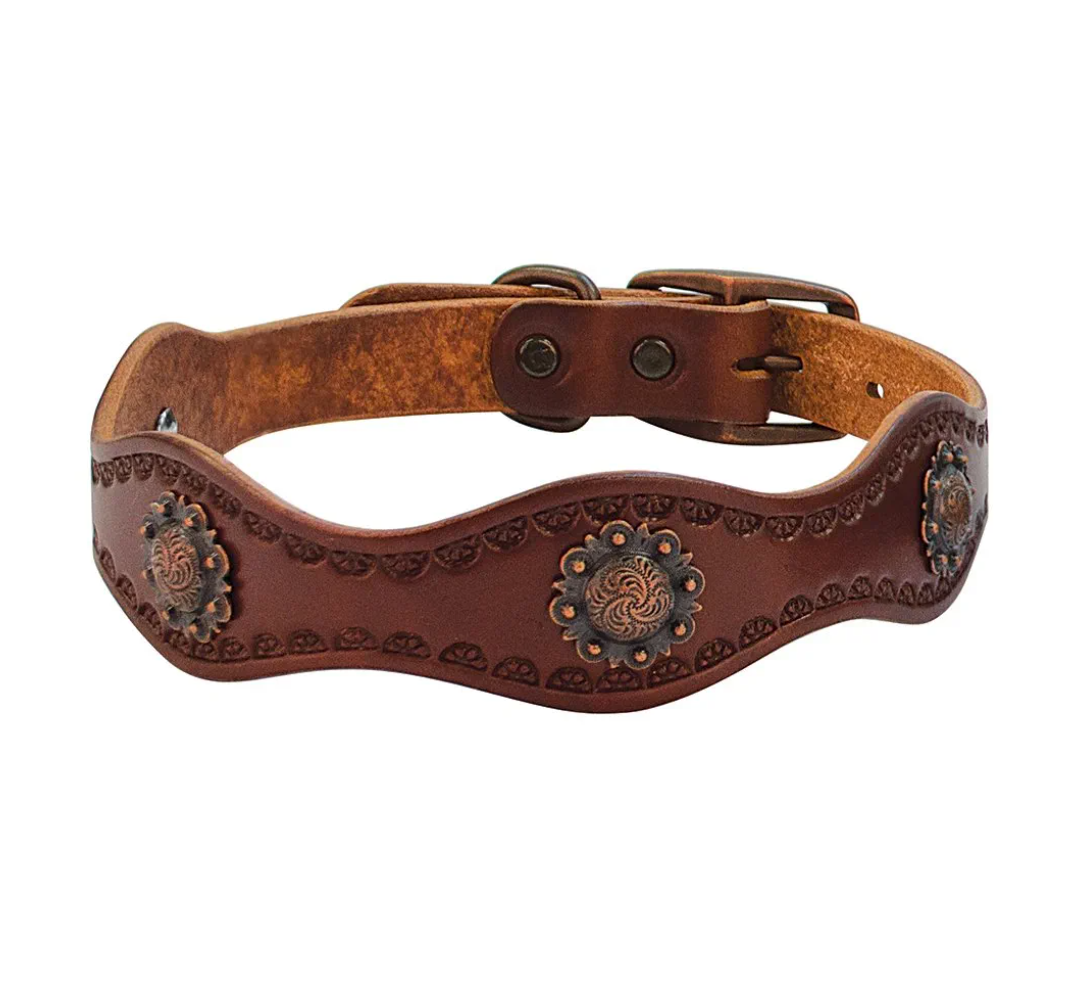 Weaver Leather Sundance Dog Collar 21