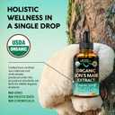 Lions Mane Liquid - USDA Certified Organic Lions Mane Supplement - Brain Support, Energy, Memory & Focus - Sugar & Alcohol-Free Lion's Mane Mushroom Extract 72,000 mg / Bottle, 2 Fl OZ, 2 Month Supply