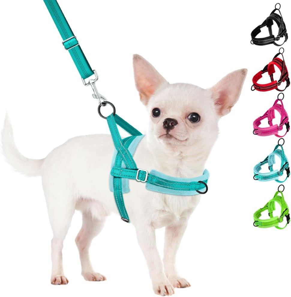SlowTon No Pull Small Dog Harness and Leash Set, Puppy Soft Vest Harness Neck & Chest Adjustable, Reflective Lightweight Harness & Anti-Twist Pet Lead Combo for Small Medium Dogs(BL-Front Clip,XXS)