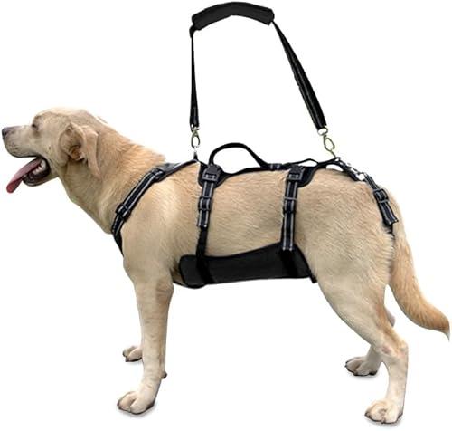 Coodeo Dog Lift Harness, Support & Recovery Sling, Pet Rehabilitation Lifts Vest Adjustable Breathable Straps for Old, Disabled, Joint Injuries, Arthritis, Paralysis Dogs Walk (Black,XL) 
