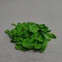 Lime Green Latex Party Balloons