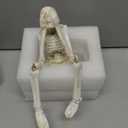 Skull Statues Set Resin Skeleton Shelf Sitters Sitting Figurines for Home Bookshelf Table Ledge Edge Decorative, Crafts Ornaments Collectibles Statues for Skeleton Lovers Halloween Decor (See)