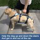 Coodeo Dog Lift Harness, Full Body Support & Recovery Sling, Pet Rehabilitation Lifts Vest for Old Dog with Arthritis Walk(Bule,XL)