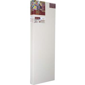 Masterpiece Artist Canvas 
21x28 3D Pro Pau Canvas 2-1/2" #DP-2128  2 Pack