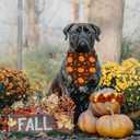 5 x Thanksgiving Dog Bandana, Pumpkin Turkey Dog Thanksgiving Scarf Buffalo Plaid Printing Adjustable Bandana for Small Medium Large Dogs