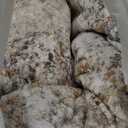 10x12 Area Rugs for Living Room: Washable Large Neutral Abstract Rug Soft Non Slip Stain Resistant Low Pile Indoor Carpet for Bedroom Dining Room Nursery Office Playroom - Brown Grey