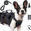 Escape Proof Dog Harness for Large Medium Sized Dogs Six Point Adjustable, Service Dog Vest Harness and Leash Set, No Pull Dogs Harnesses with Handle, Medium Dog Harnesses for Walking(Black, M)