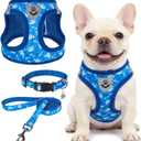 SCENEREAL Small Dog Harness and Leash Collar Set, Step in Soft Light Puppy Vest, Breathable Pet Harness for  Dogs, No Choke Reflective for Safe Outdoor Walking, Blue Shark M