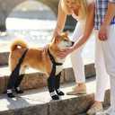 Dog Suspender Boots for Small Dogs – Waterproof & Non-Slip Dog Paw Protectors with Adjustable Straps & Reflective Strips, All-in-One Connected Dog Boots for Outdoor Walks, Snow, Rain, Hiking (S)