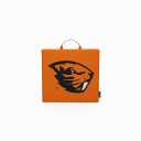 Logo Brands Officially Licensed NCAA Unisex Bleacher Cushion, One Size, Team Color (14" x 14" x 1")