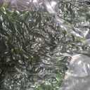 28.5inch Faux Boxwoods for Outdoor Planters, UV Resistant Boxwood Topiary