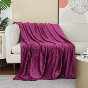 JIAHANNHA Purple Throw Blanket Fleece Blanket 50"x60",Super Soft Cozy Plush Throw Blanket for Couch Sofa Bed,Warm and Lightweight Bed Blankets for Adults