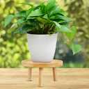 balacoo Solid Wood Plant Stand 5.11 Inch Small Indoor Flower Pot Holder Plant Shelf Rack for Living Room Balcony Desk with Natural Wood Finish