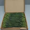 HOHOTIME 50 Pcs Norfolk Pine Stems, Christmas Greenery Stems Branches for Vase, Artificial Pine Picks, Fake Pine Stems Decoration,Faux Pine Sprigs for Garland Wreath Tree Home DIY Xmas Decor