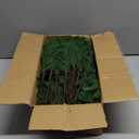 24 Pcs Artificial Norfolk Pine Branches, Faux Norfolk Pine Stems DIY Crafts Faux Christmas Norfolk Pine Branches for Xmas Indoor Outdoor Home Decor (24)