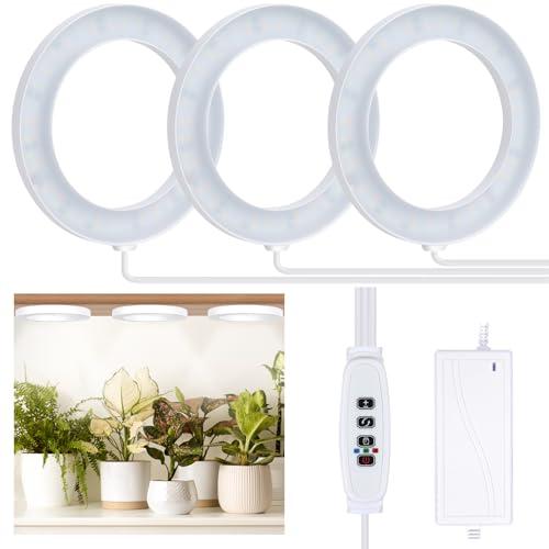 Aopeids Full Spectrum Grow Light for Indoor Plants, 216 LEDs Halo Plant Light with Auto On/Off Timer (4/8/12H), 10-Level Brightness, 3 Lighting Modes, for Small Plants & Seedlings (White, Tri Head)