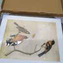 10x12 Picture Frame, Black Aluminum Metal Photo Frames with HD Glass, Fits 8x10 with Mat or 10 x 12 without Mat, Display for Wall, 1 Pack