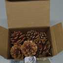 JOHOUSE 18PCS Hanging Natural Pine Cones (1.5"2.5"), Rustic Pinecones with Strings for Garland, Christmas Tree Ornaments, Easter Wreath Making, Vase/Bowl Filler Spring Decor (Multi Color)