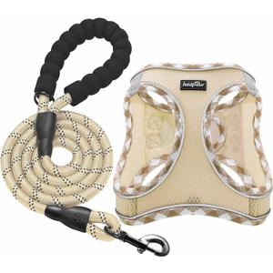 Haapaw Dog Harness with Leash Set, No Pull Adjustable Reflective Step-in Puppy Harness with Thickened Padded Vest for Extra-Small/Small Medium Dogs (Beige)