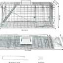311213 Inch Heavy-Duty Live Animal Cage Trap - Humane Catch & Release for Raccoons, Cats, Squirrels, Rabbits, Groundhogs - Safe & Durable Steel Construction with Secure Door Lock