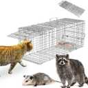Large Live Animal Trap Cage, 31"x11"x12" Live Animal Cage Trap Humane Raccoon Traps Catch Release, Collapsible One-Door Animal Catcher Cage for Cats Opossums Groundhogs Skunks Squirrel Rodent