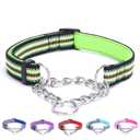 Alainzeo Reflective Martingale Dog Collars, Adjustable Soft Neoprene Padded Breathable Nylon Pet Collar for Puppy, Medium and Large Dogs,Blue,S