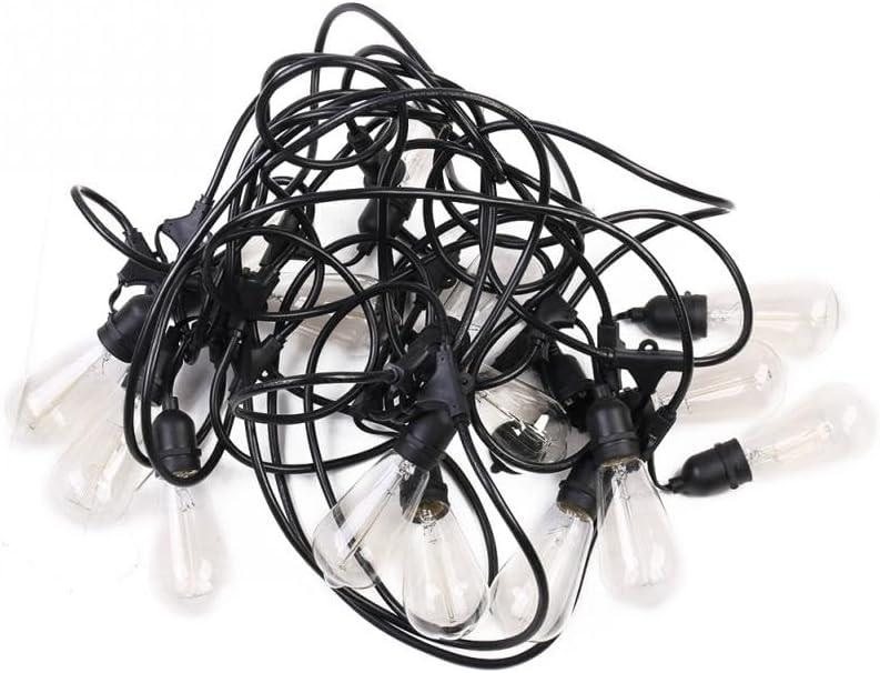 E26 Replacement Incandescent, Clear Glass Light Bulbs, 2700K Warm White, Dimmable, E26 Medium Base, for Display-Sign, Indoor-Outdoor Patio,String Lights Incandescent Bulbs