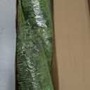 FOREST PRINCE 35" Ferns Artificial Bush Plants Large, 2 Artificial Boston Ferns with 39 Fronds for Outdoors Home Decor