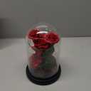 Flowers Gifts for Mom,Birthday Gifts for Women,Beauty and The Beast Rose Gifts,Artificial Silk Rose Flowers Preserved Forever in Glass Dome,Mothers Day Flower Roses Gifts for Mom Wife Girlfriend