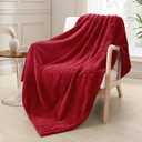 Exclusivo Mezcla Fleece Throw Blanket Extra Large, Super Soft and Warm Blankets for Couch, Sofa and Bed Waffle Textured, Cozy, Fuzzy and Lightweight (Deep Red, 50x70 Inches)