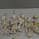 JOYIN 5 PCS Posable Halloween Skeleton Decor 16 Inches, Full Body Posable Joints Hanging Skeletons for Halloween Decorations, Graveyard Props, Haunted House Accessories, Spooky Scene Party Favors (Original)