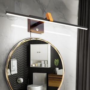 Plug in Picture Light 24" Bathroom Vanity Light Touch Dimming 3CCT Bathroom Light Fixtures 270+170 Rotation IP44 Wall Sconce for Cabinet Living Room Hallway (Black/Gold)