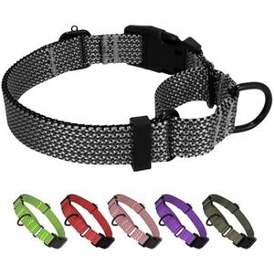 BXPAW Martingale Dog Collars Adjustable Training Martingale Collar for Dogs - Reflective No Pull Dog Collar with Quick Release Buckle(Grey L)