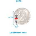 Riseuvo 100Pcs Schrader Tire Valve Core - American/US Valve Stems Core for Most Automotive, RV, ATV & Air Conditioning, Tire Remover Replacement