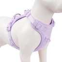 Sunraymascota No Pull Dog Harness, Puppy Vest with Front Clip for Small Medium Large Sized Dog (Light Purple, S)