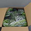 Der Rose 6Pcs Fake Plants Hanging Faux Eucalyptus Vines Artificial Potted Hanging Plants Indoor for Room Wall Shelf Outdoor Decor