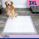 Hartz Home Protection Lavender Scented Dog Pads, 3XL 30 Count, Super Absorbent & Won't Leak, Odor Eliminating