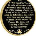 2 Year Sobriety Coins, Tree of Life 2 Year AA Medallions - AA Sobriety Chips Recovery Coins Sober Tokens for Alcoholics Anonymous Recovery Sober Gifts for Men Women