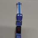 Flashseen LED Dog Collar, Light Up Dog Collar USB Rechargeable, Brightest Dog Lights for Night Walking, Adjustable Dog Collar Light for Dog Safety (Large, Royal Blue)