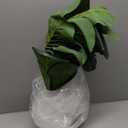 Artificial Fiddle Leaf Fig Tree, 22.8" Tall, Faux Ficus for Home Office Living Room Decor Aesthetic